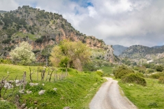 Grazalema-17