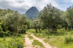 Grazalema-51