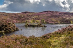 Great Crag walk, Dock Tarn