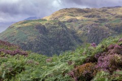 Bessyboot, Borrowdale