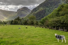 Eagle Crag