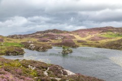 Dock Tarn