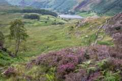 Watendlath Tarn