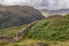 Rosthwaite Fell