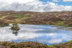 Dock Tarn