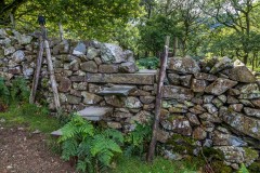 Great Crag walk