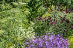 Great Dixter borders