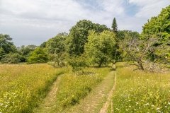 Meadow, Great Dixter