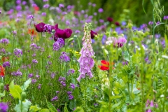 Great Dixter garden