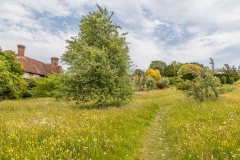 Great Dixter meadow