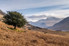 Scafells