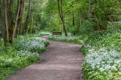 Grosmont Rail Trail