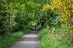 Grosmont Rail Trail