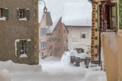 Guarda