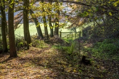 Hackness walk