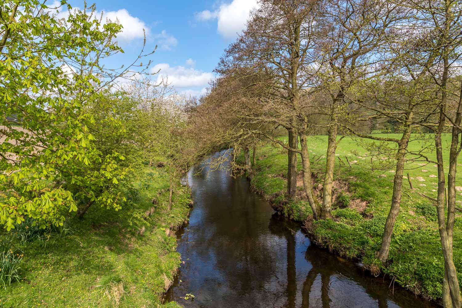 River Derwent Hackness River Derwent Hackness