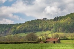 old barn Hackness