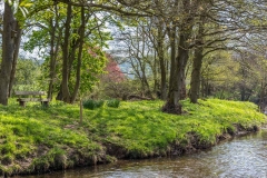 River Derwent Hackness
