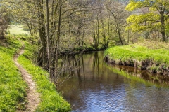 River Derwent Hackness