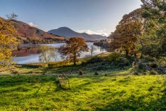 Loweswater and Holme Wood