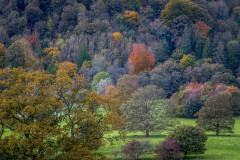 Autumn colours
