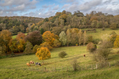 Hackness walk