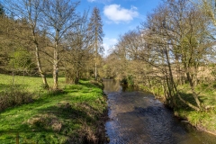 Hackness walk, River Derwent