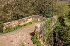 Hackness walk