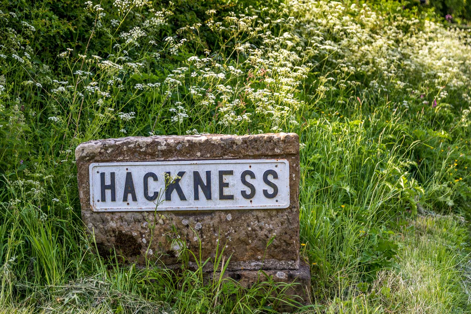 Hackness walk