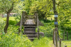 Hackness walk, River Derwent