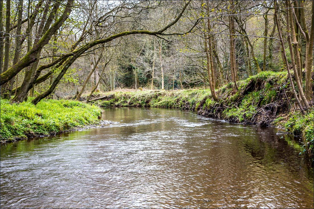 River Derwent walk, North Yorks River Derwent walk, North Yorks