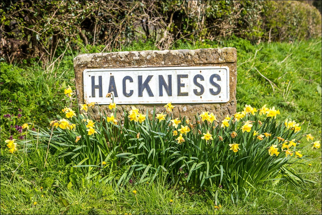 Hackness sign