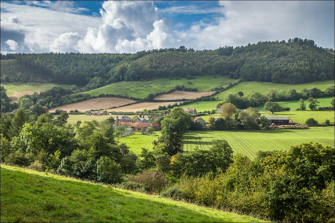 Hackness walk, Wrench Green Hackness walk, Wrench Green