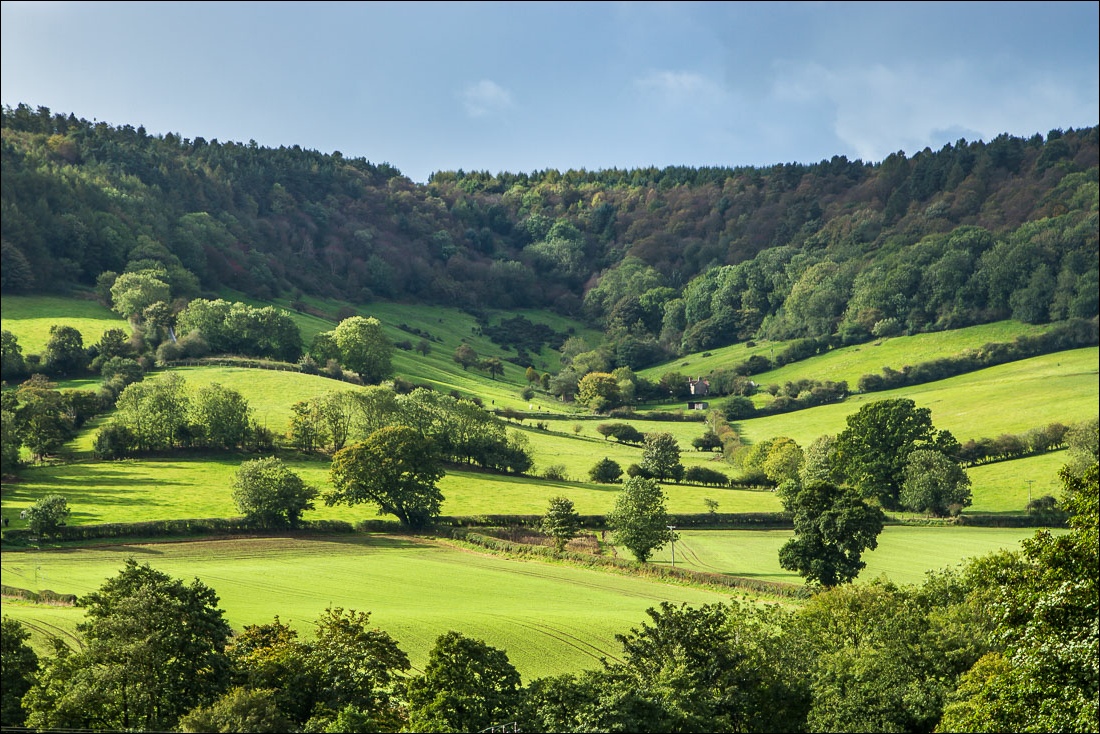 Hackness walk, Coomb Slack Hackness walk, Coomb Slack