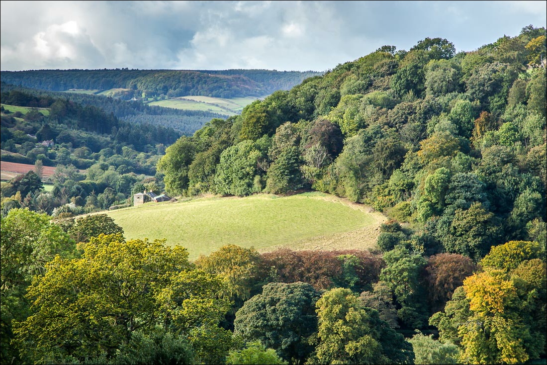 Hackness walk Hackness walk