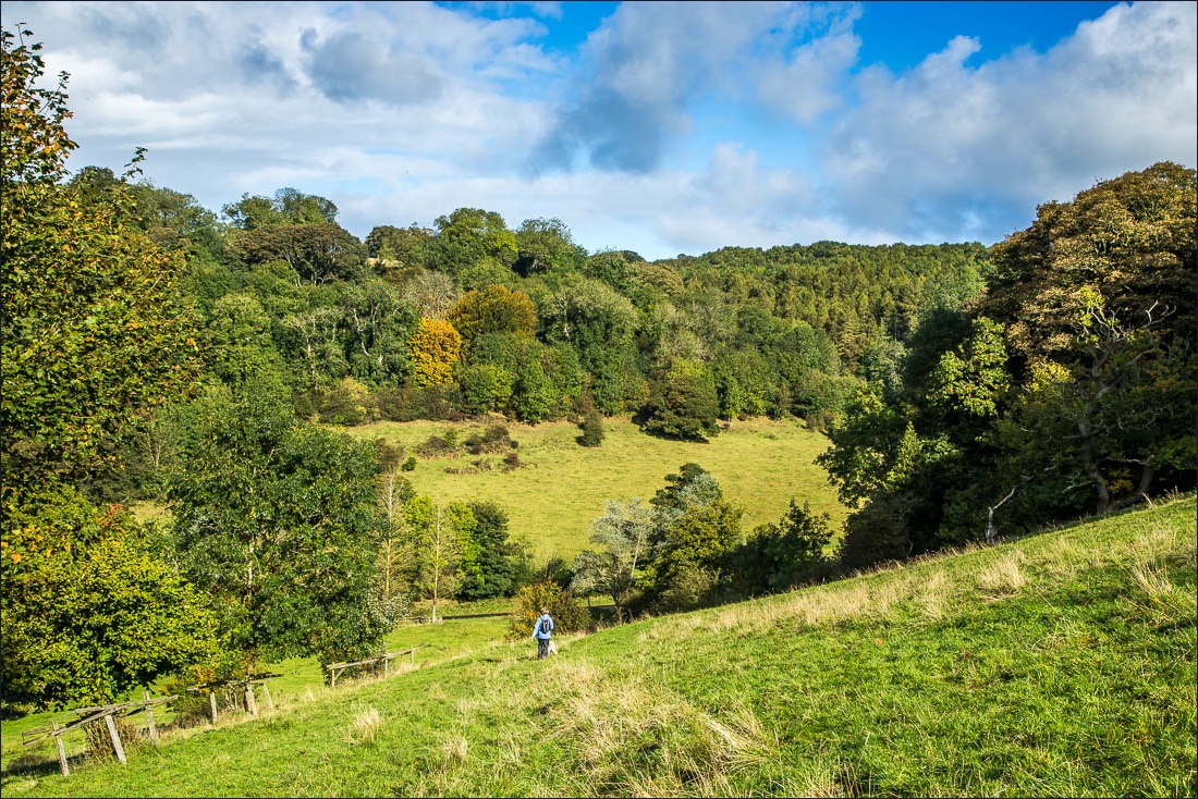 Hackness walk Hackness walk