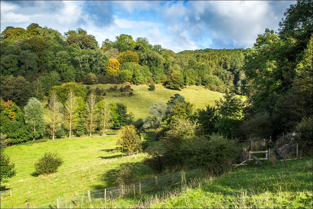 Hackness walk Hackness walk