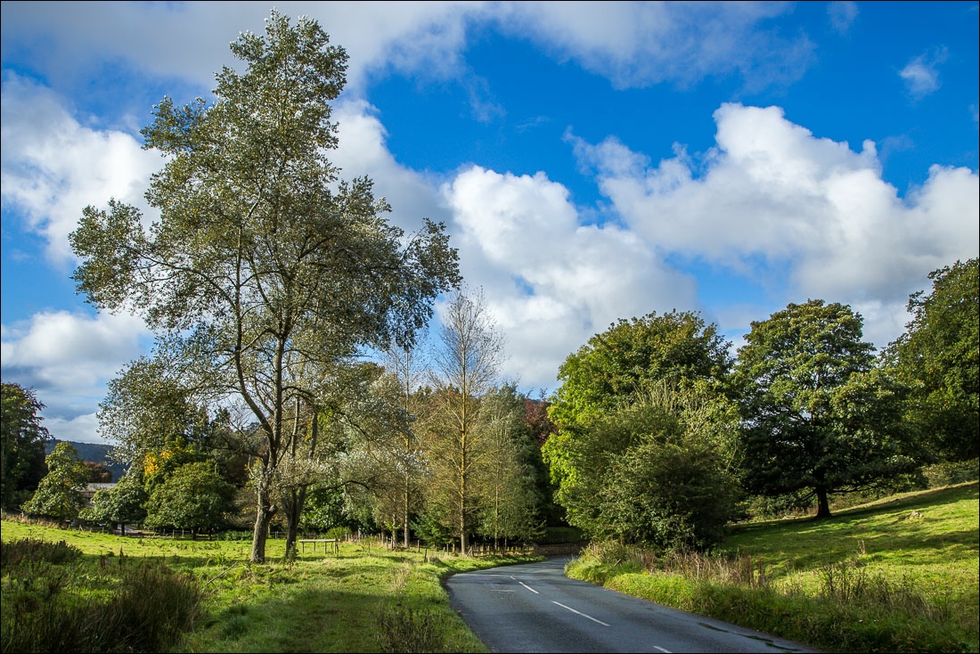 Hackness walk Hackness walk