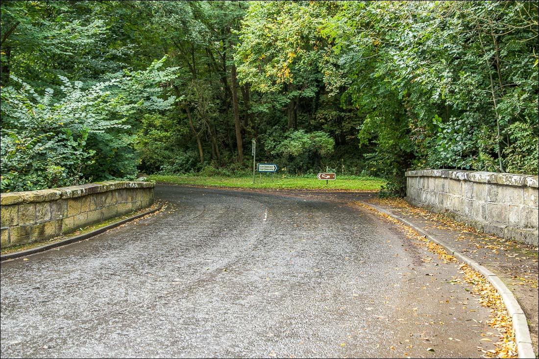 Hackness walk, Lowdales Hackness walk, Lowdales