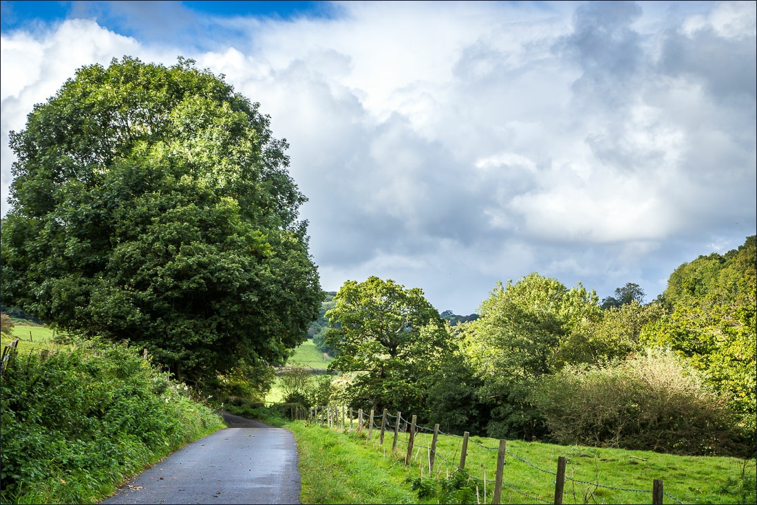 Hackness walk, Lowdales Hackness walk, Lowdales