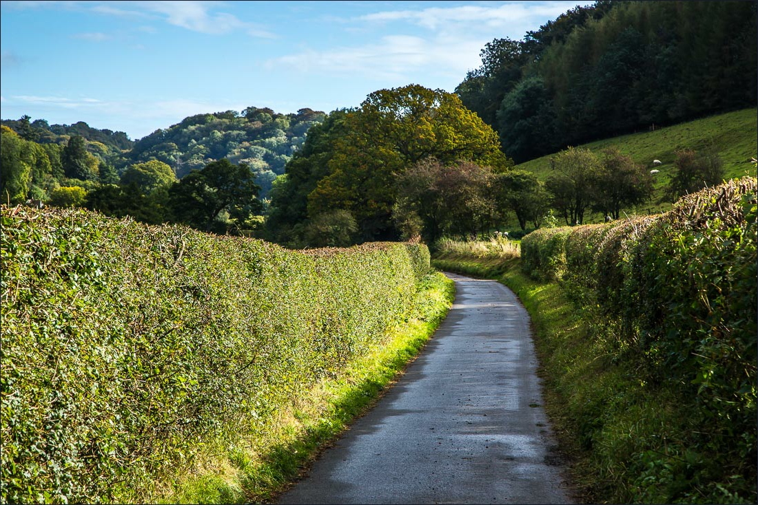 Hackness walk, Lowdales Hackness walk, Lowdales