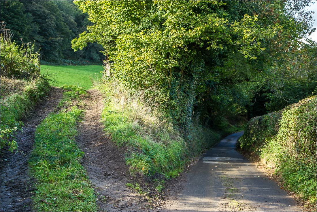 Hackness walk, Lowdales Hackness walk, Lowdales