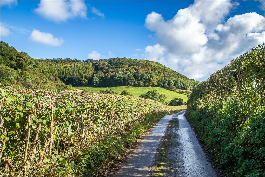 Hackness walk, Lowdales Hackness walk, Lowdales