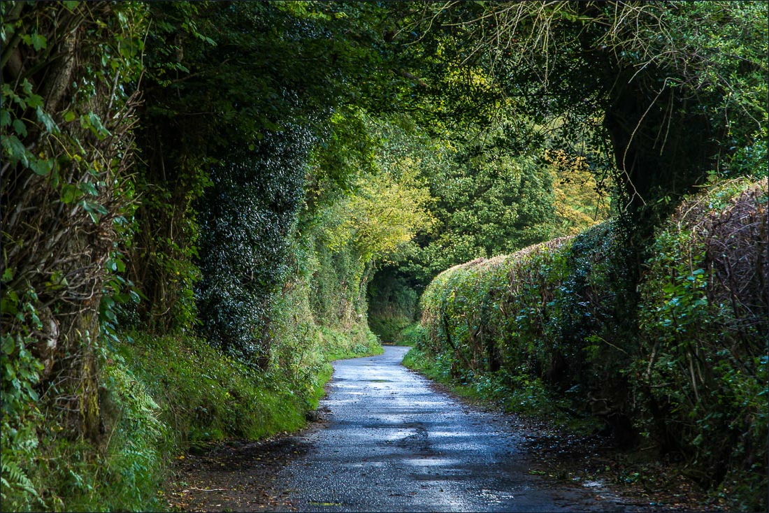 Hackness walk Hackness walk