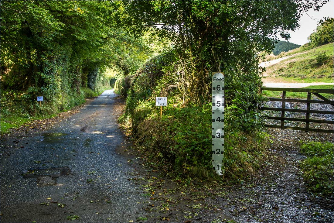 Hackness walk Hackness walk