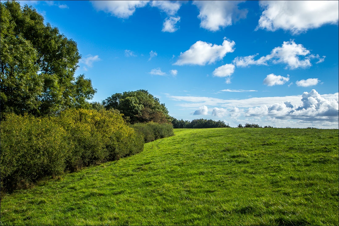 Hackness walk, Broxa Rigg Hackness walk, Broxa Rigg