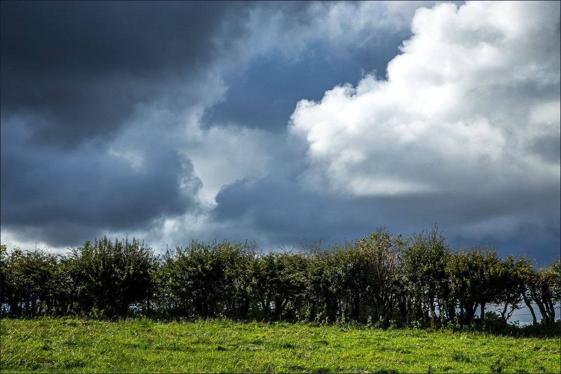 Hackness walk, Broxa Rigg Hackness walk, Broxa Rigg