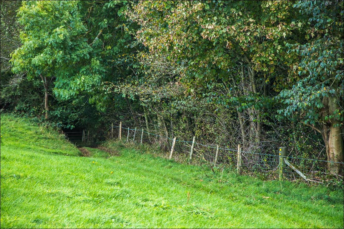 Hackness walk, Broxa Rigg Hackness walk, Broxa Rigg