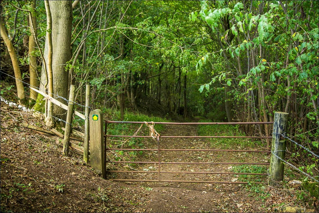 Hackness walk Hackness walk