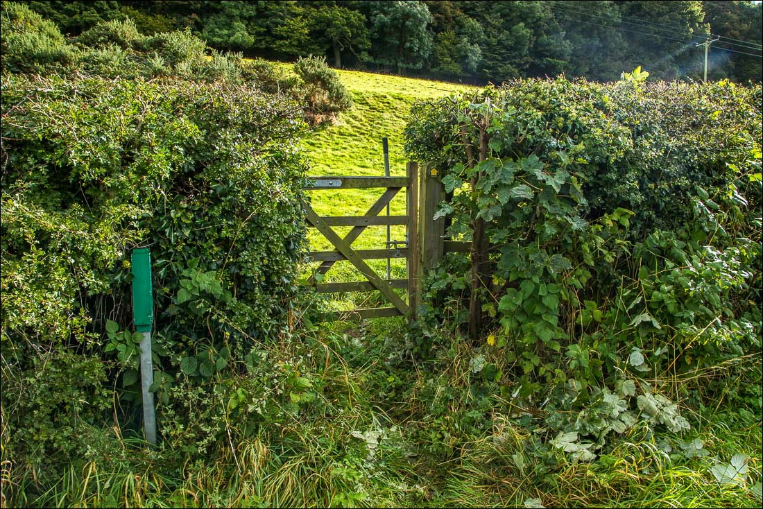 Hackness walk Hackness walk